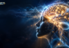 What Happens in the Brain When You Die? What Studies Show Illustration of brain activity waves on an EEG monitor